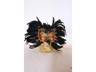 Feather bird mask