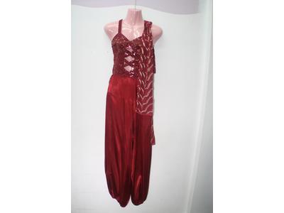Arab/Bollywood/Egyptian red top & pants