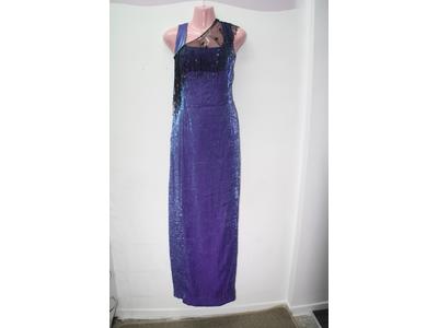 Arab/Bollywood/Egyptian long purple dress